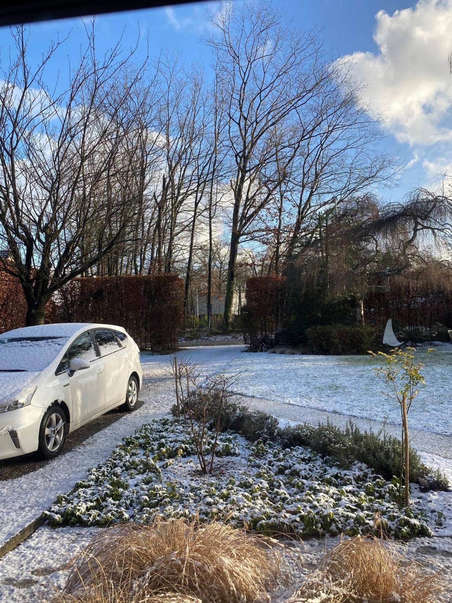De Graslelie Apartment Schoten ภายนอก รูปภาพ